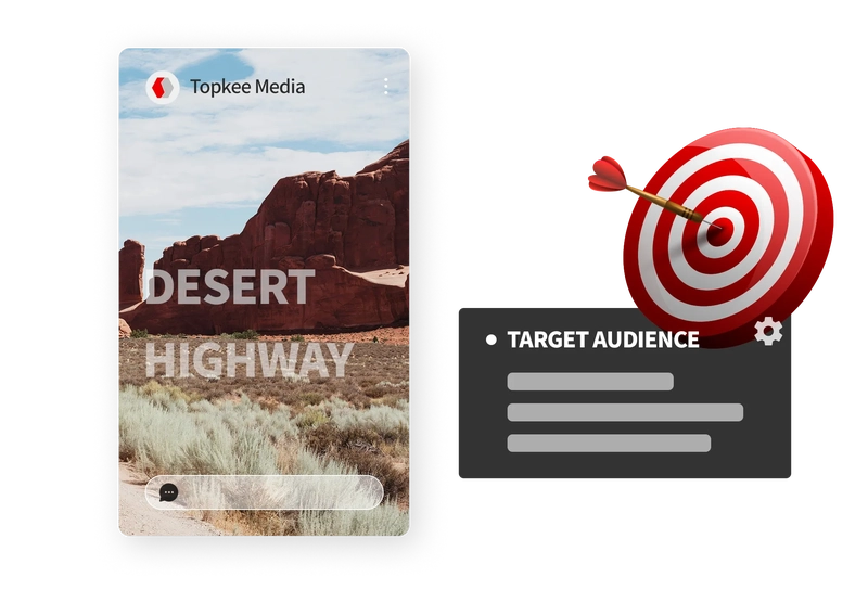 Precise Audience Targeting